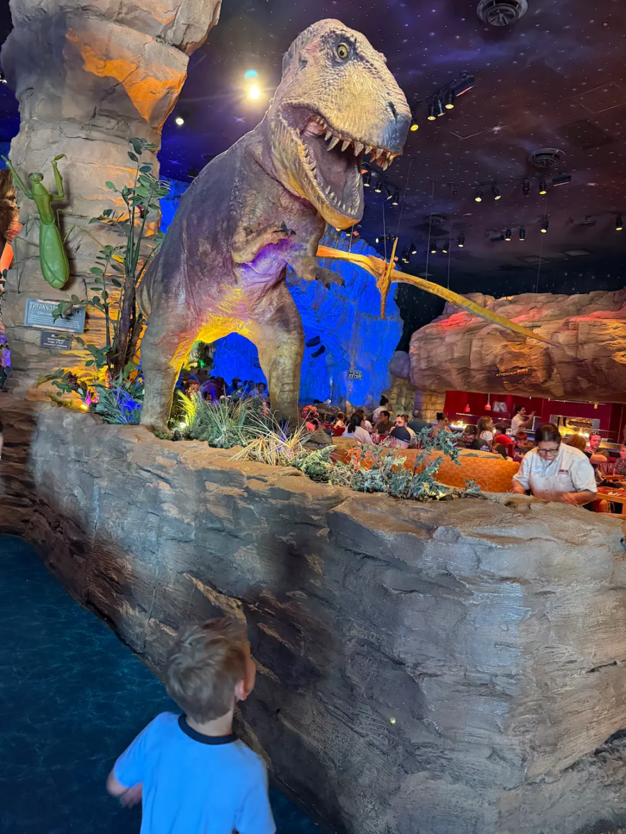 Toddler looks up at animatronic trex at dinosaur cafe in disney springs