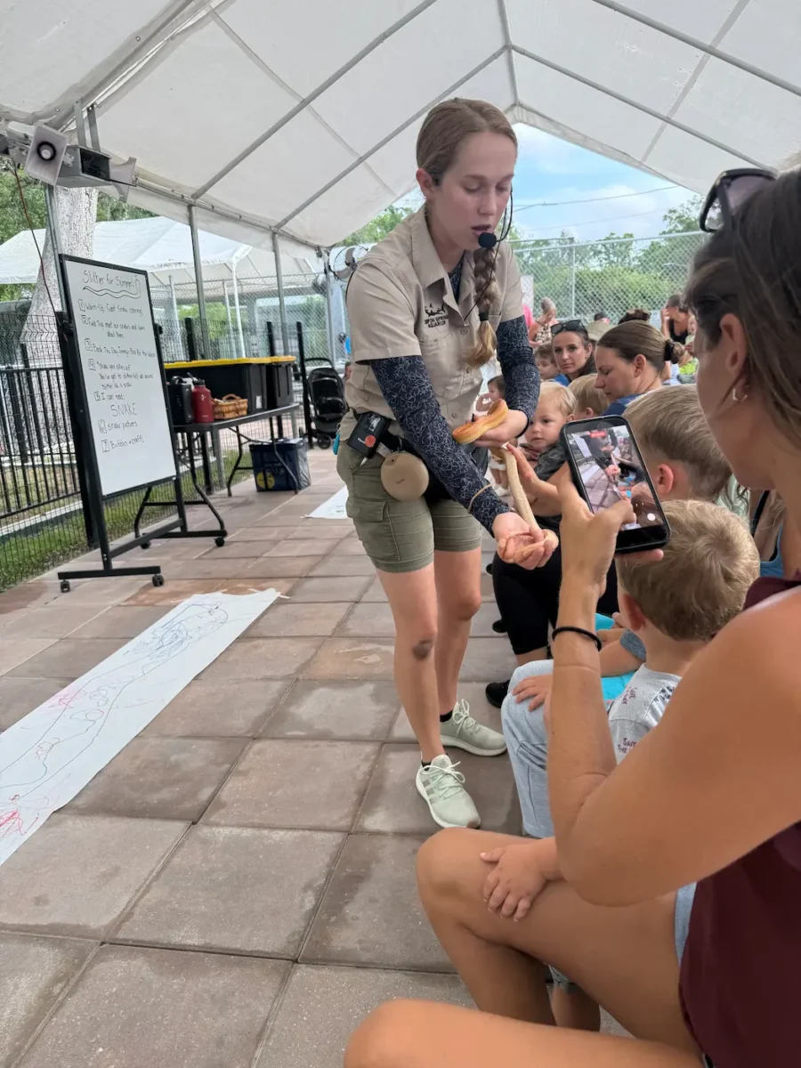 toddlers petting snake at toddler tuesday at tarpon springs aquarium
